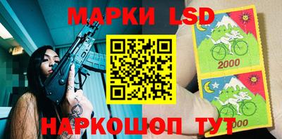 СК Пугачёв