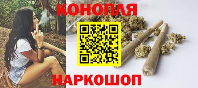 СК Пугачёв