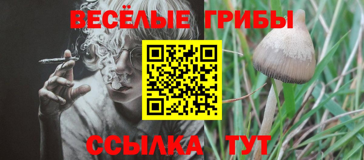 Псилоцибиновые грибы мицелий Сургут